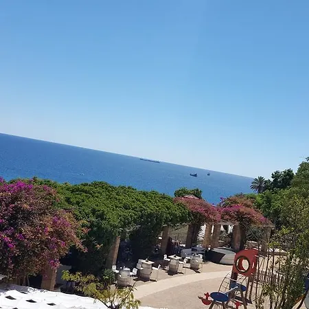 Bettatur Tarraco